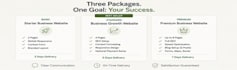 build a modern business website with SEO