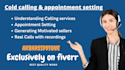 offer real estate cold calling  appointments setting to find motivated sellers