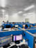 provide all ecommerce management and support services