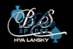 do embroidery digitizing logo, convert into dst in quickly
