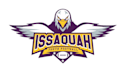 design a professional modern eagle logo