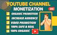 do organic youtube video promotion