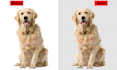 cut out images, cut out background remove quick delivery