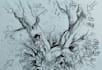 do best frem realistic drawing