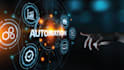 make a bot for web automation and python scripts to automate tasks