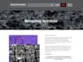 deliver a professional wordpress website