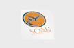 create professional and unique airline logo design for you