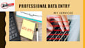 accurate data entry, copy paste, web research, PDF to excel