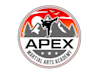 design modern awesome martial arts logo