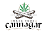 design a professional modern cannabis logo