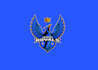 design high quality hummingbird logo in high definition