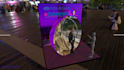 create 3d installation design