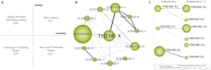 do thematic and content analysis using atlas ti or nvivo
