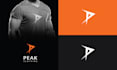 do custom fitness logo and brand identity design