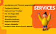 do wordpress website maintenance, wordpress updates and support