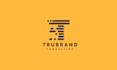 create a professional logo design for your business