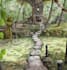 draw anime, game backgrounds and environment concept art