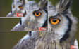 upscale enlarge your video to HD and 4k