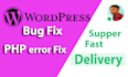 fix wordpress website issues and fix wordpress website error