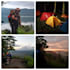 best bali adventure and travel guide driver with photo video