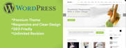 create professional wordpress website
