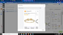 manage facebook ads campaign for sales and leads