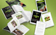 professional ebook formatting for kindle, epub, PDF and paperback