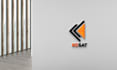 create  professional business logo design within 6 hours