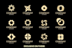 do professional sliver and gold coin,bitcoin design