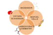 do scientific illustrations for your paper or presentation