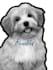 draw a pet and make it a halftone image