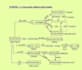 be your online chemistry tutor at any level and grade