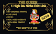 do link insertion niche edit and guest posts on high da DR and traffic sites