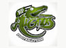 design high quality crocodile logo in high definition