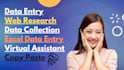 do perfect data entry, web research, web scraping and copy paste excel sheet