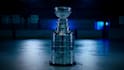write nhl articles or scripts for you