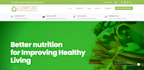 help you design your site and monetize using google adsense