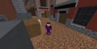play minecraft with you