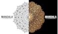 illustrate detailed vector line art and mandala