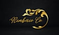 disigner professional business logo design