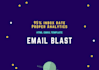 send bulk emails and email blast with 95 percent inbox rates