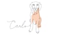 draw custom animal portrait in one line style