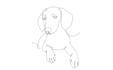 draw custom animal portrait in one line style
