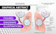 design scientific illustrations, publication image, graphical abstract