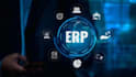 manage erpnext admin panel roles, doctypes, reports, and system setup