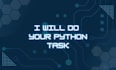do your python projects and programming tasks