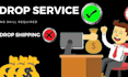 create profitable and professional drop service website