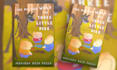 draw a custom illustration for your book cover