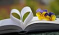 beta read your romance book and provide honest feedback