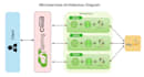 develop your rest API with spring boot